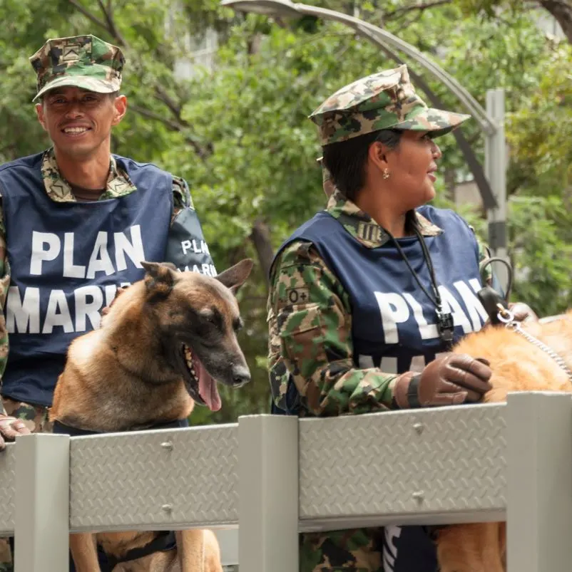 police dogs in mexico square