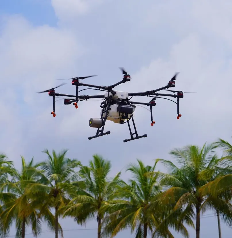 Drone Over the Beach