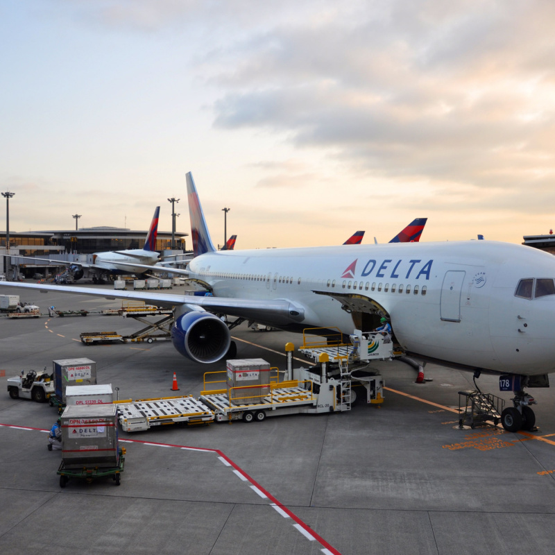 Delta Plane At The Gate