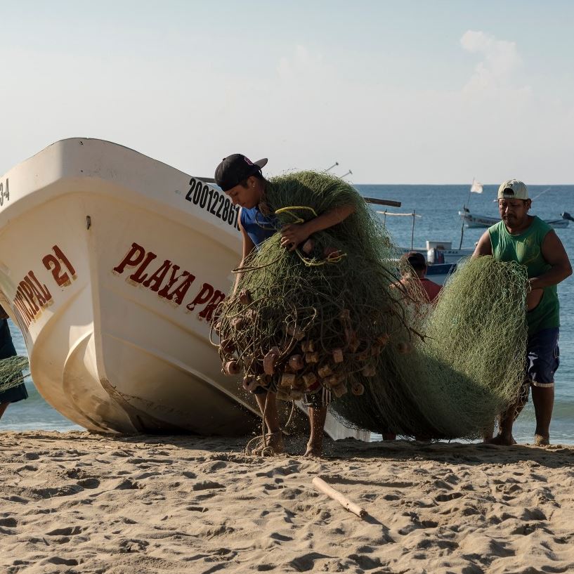 Men arriving from sea carrying a fishing net