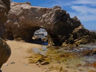 Los Cabos Reinforces Cleaning Efforts To Five Summer Visitors Pristine Beaches