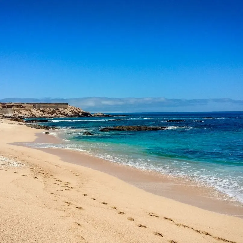 Playa Palmilla in Los Cabos