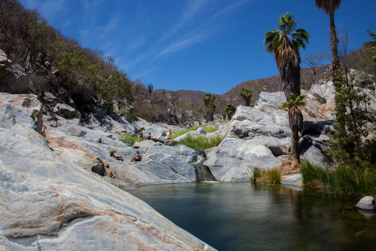 This Popular Los Cabos Attraction Is Closed Indefinitely, But Here Are Some Great Alternatives