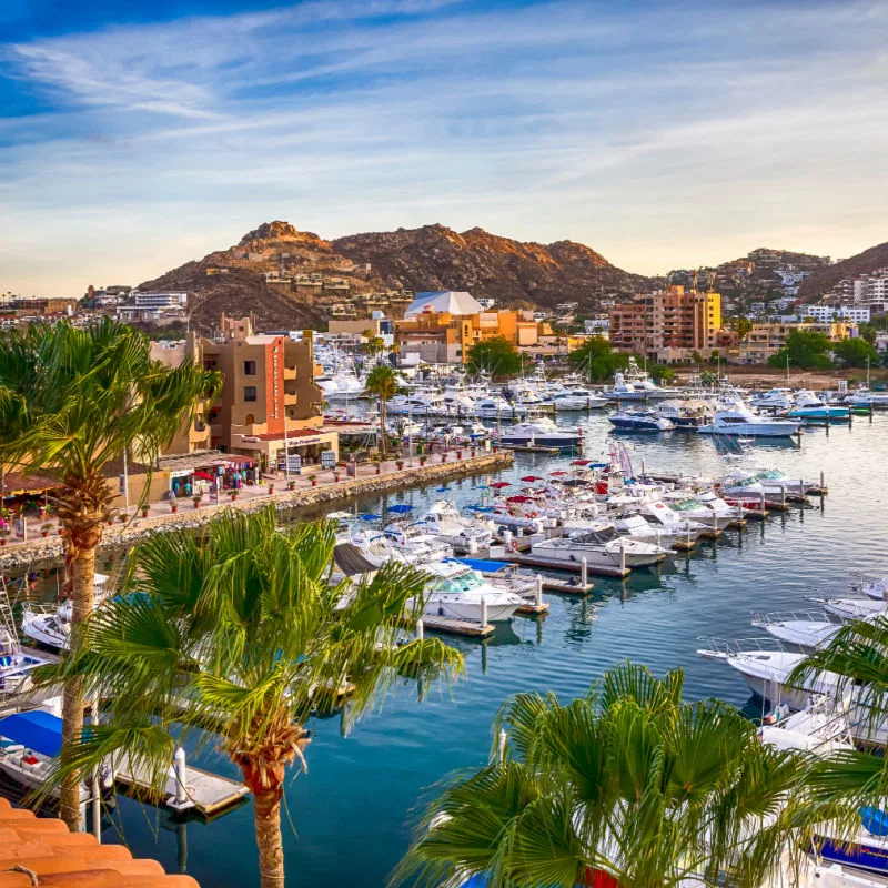 Aerial View of Cabo San Lucas Marina