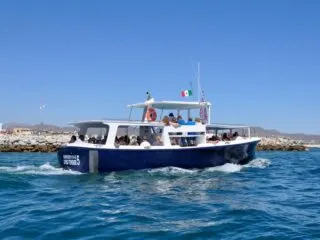 6 Important Things Travelers Should Consider Before Booking A Los Cabos Boat Tour