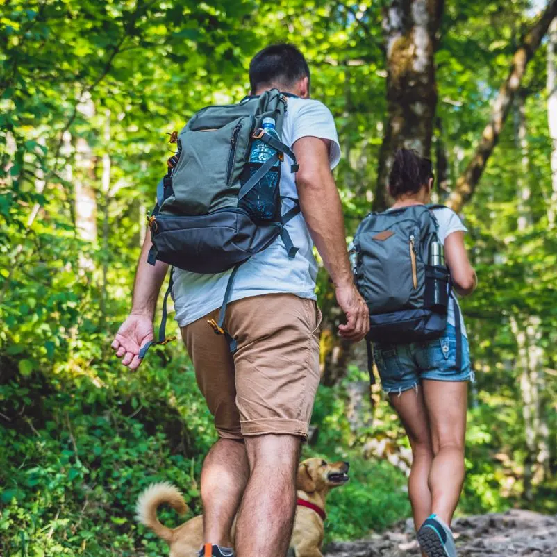 travelers with a dog walking on a hiking trail