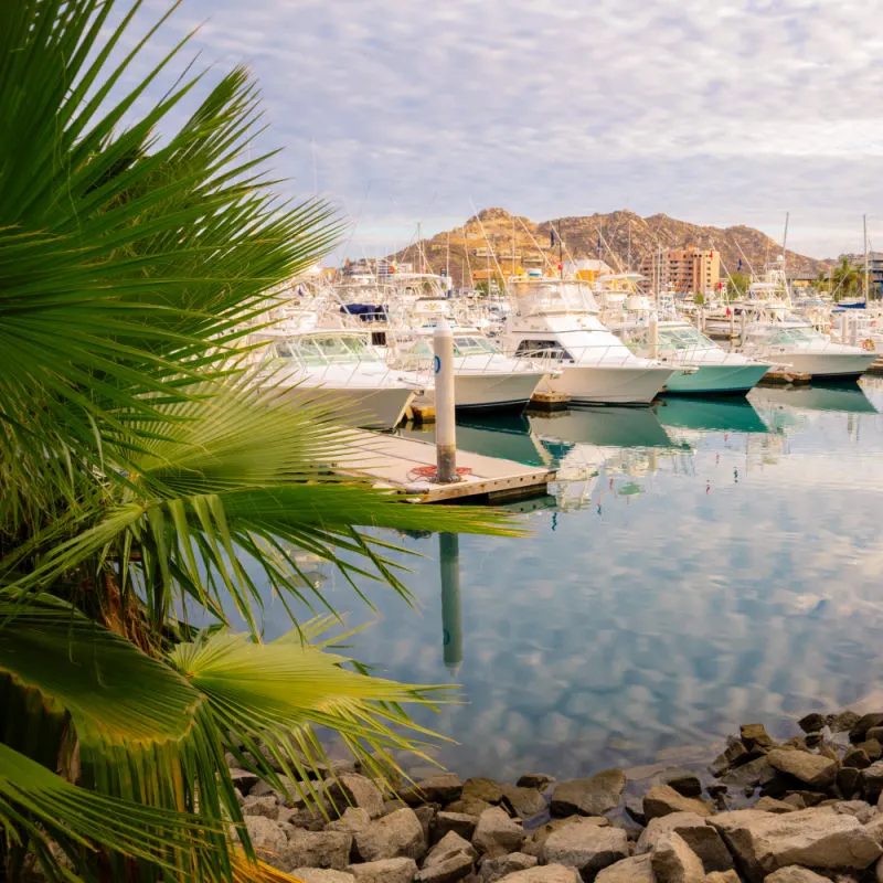Boats in a Beautiful Tropical Marina in Cabo San Lucas, Mexico