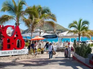 Los Cabos To Monitor Seafood Street-Food Vendors To Ensure Tourist Safety 