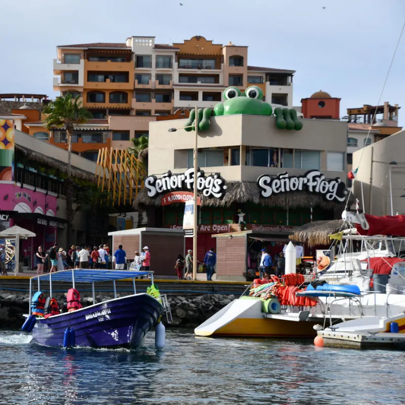 Boats and Tourists in the Cabo San Lucas Marina, With Senor Frogs In the Background