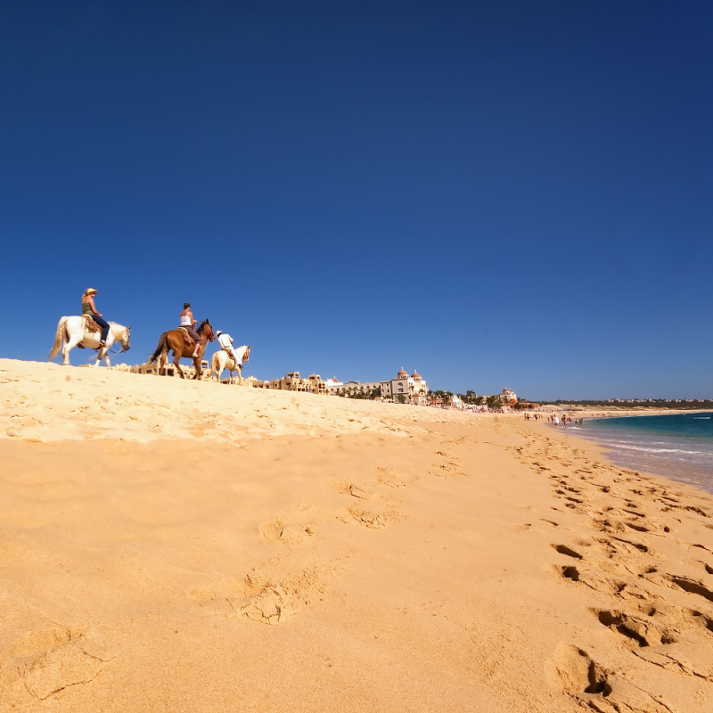Tourists Horseback Riding on the Beach in Los Cabos, Mexico