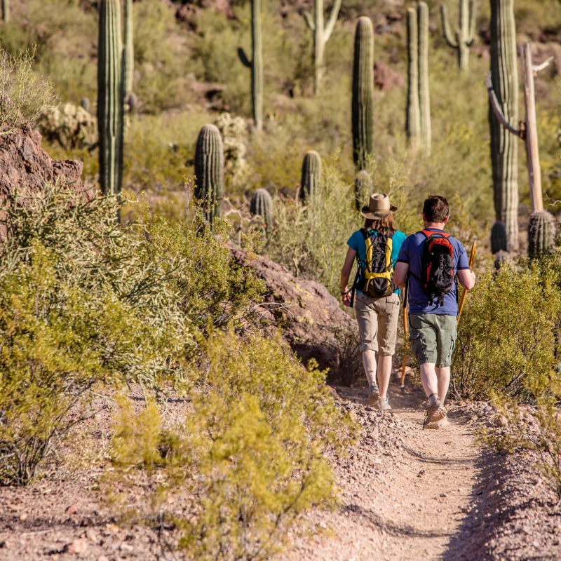 two people hiking on desert trail