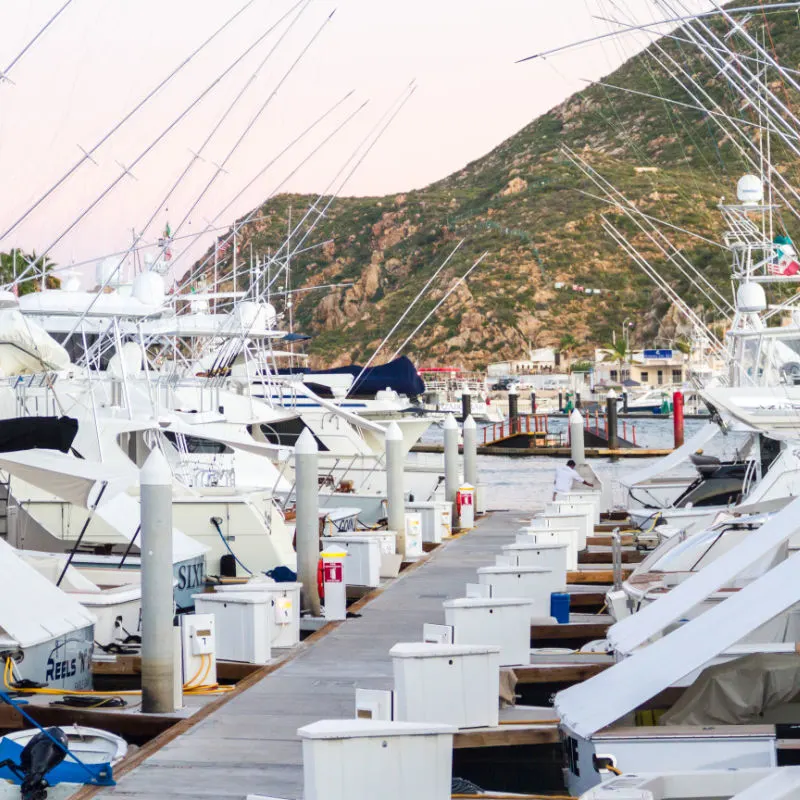 Boats at the San Jose del Cabo Marina