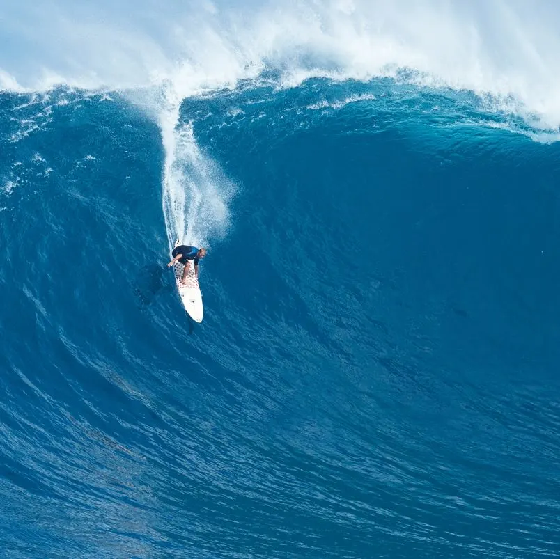Surfer Trying To Tame A Massive Wave