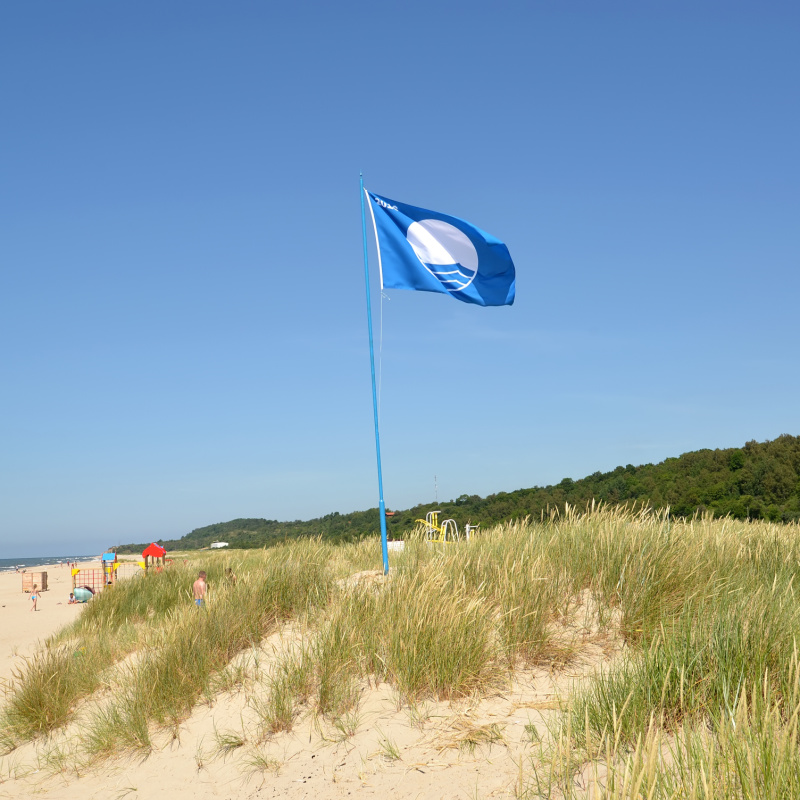 blue flag on beach hill