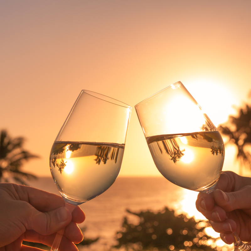toasting wine glasses in tropical destination