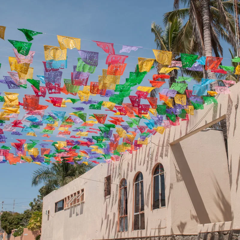 vibrant street in Todos Santos