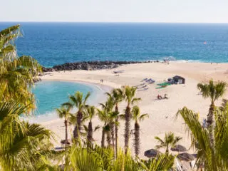 Los Cabos Beaches Reopen After Temporary Restrictions .