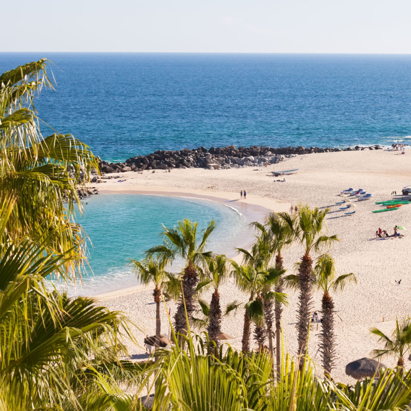 Los Cabos Beaches Reopen After Temporary Restrictions 
