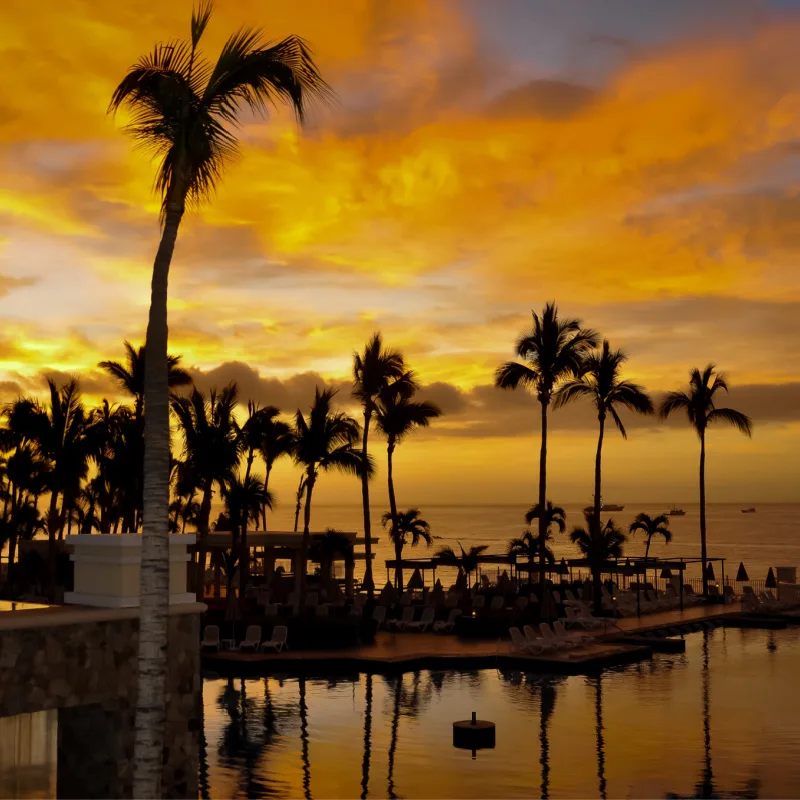 Silhouette of coconut trees, swimming pool and beautiful sunrise as seen from Riu Palace Hotel and Resort in Los Cabos