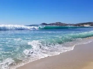 Top 5 Non-Beach Activities To Enjoy In Los Cabos When Seas Are Too Rough For Swimming