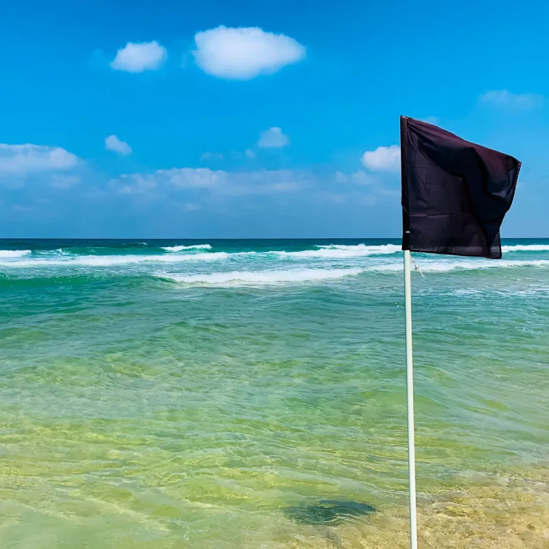 Black flag posted on a beach