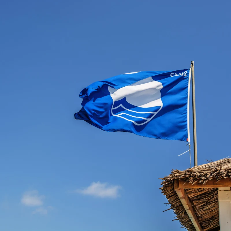 Blue flag posted on a beach