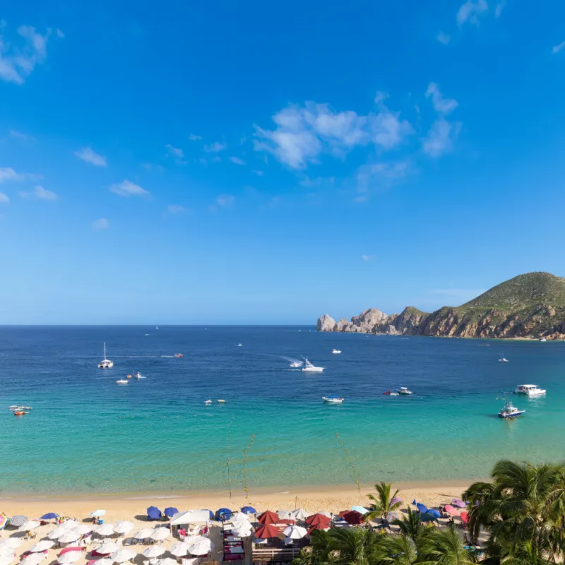 boats in los cabos