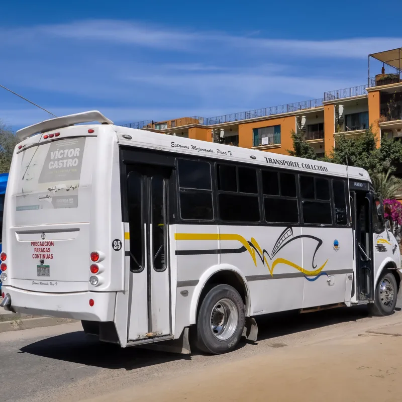 bus in los cabos