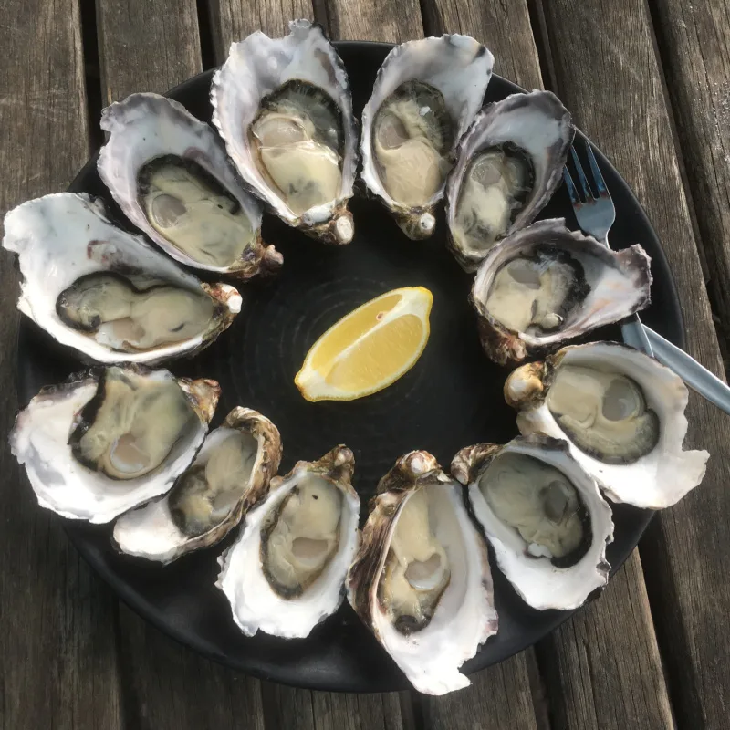 Fresh oysters on a platter with a wedge of lemon