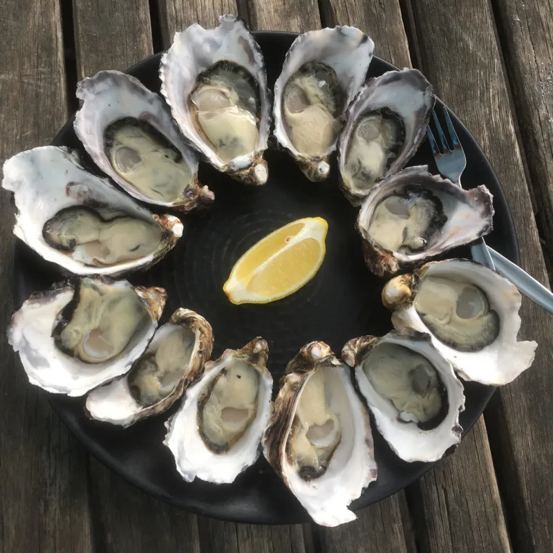 fresh oysters with lemon