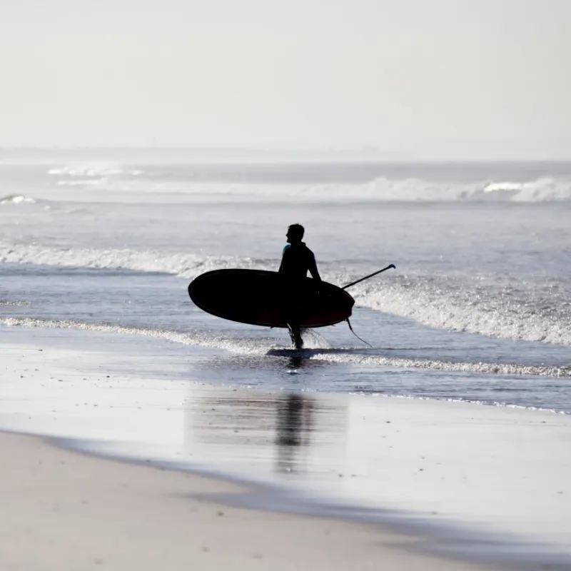 person at the beach carrying paddleboard