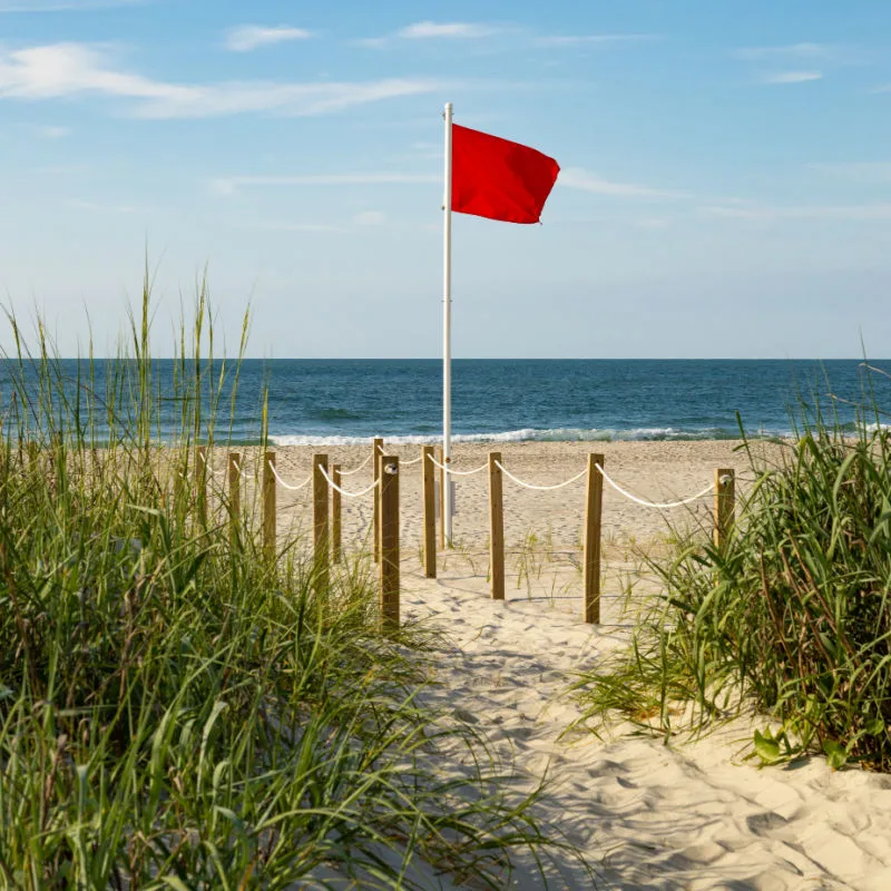 red flag posted on a beach