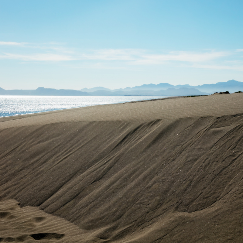sand dunes in el mogote
