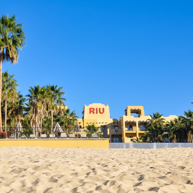 A beach with palms and buildings in Los Cabos