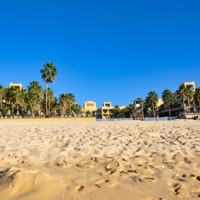 A beach with buildings and palms in Los Cabos