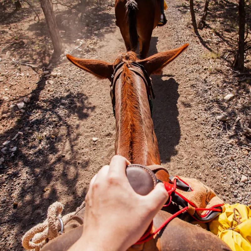 tourist riding mule in mexico