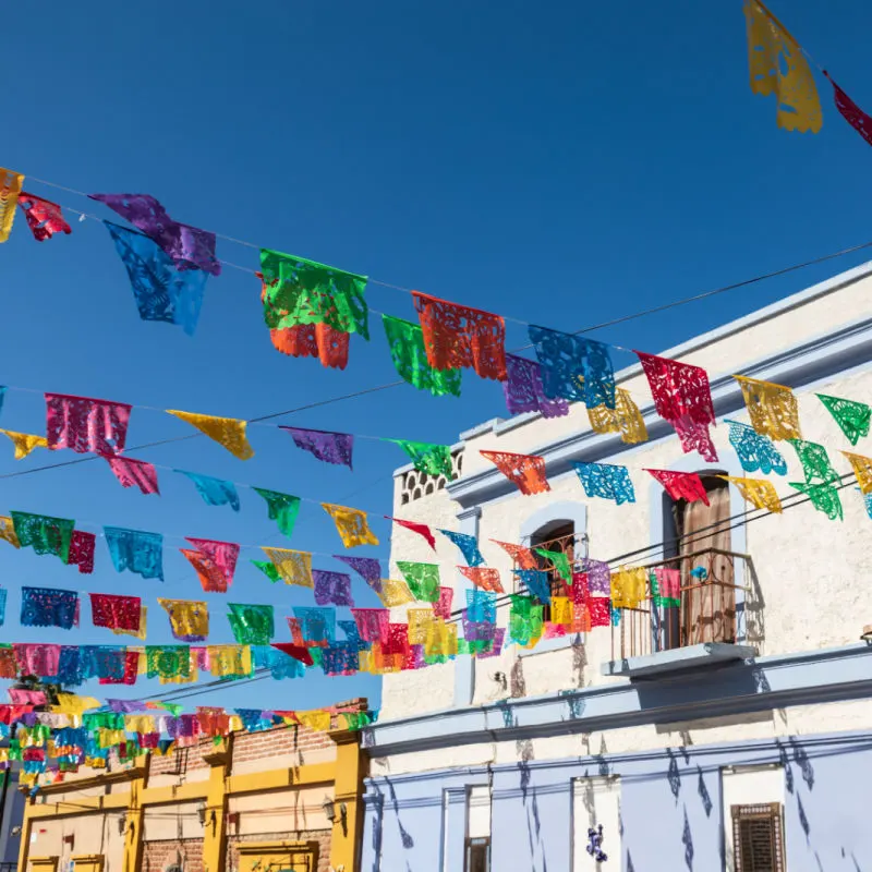 vibrant street in todos santos