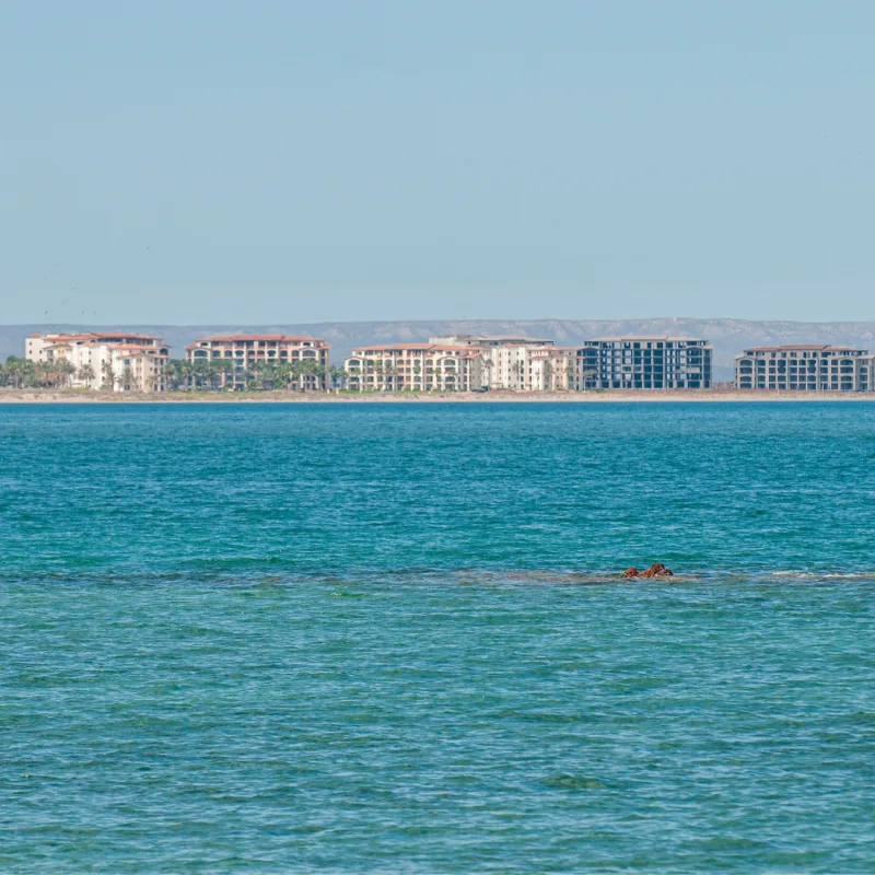 view of el mogote from la paz