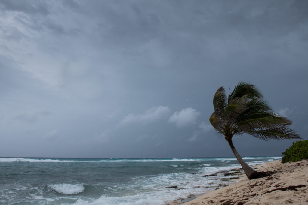 Stormy Day During a Hurricane in Los Cabos