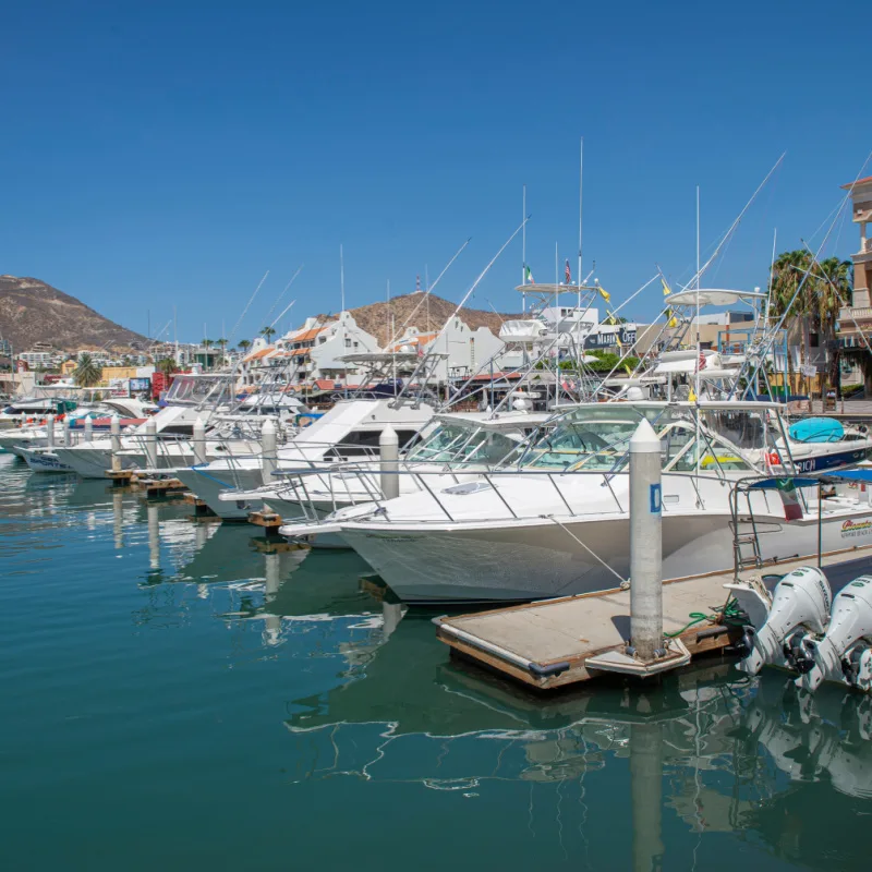Cabo San Lucas BCS Mexico. The largest Marina in Los Cabos