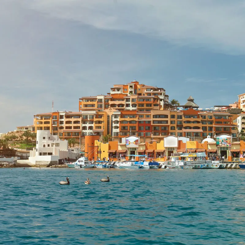 Cabo San Lucas resort