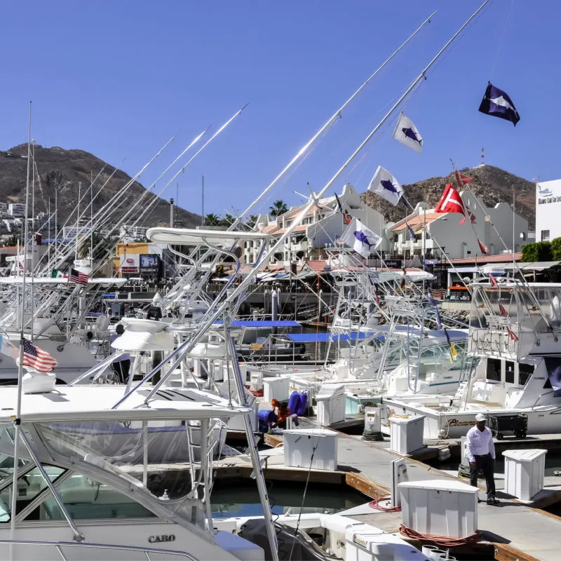 Lots of boats at the marina in Los Cabos in a beautiful day.