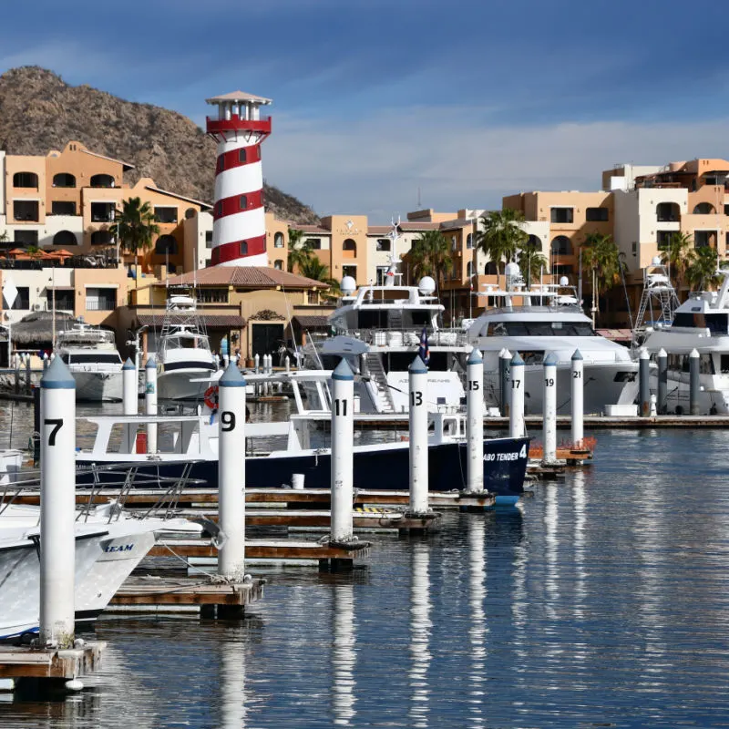 Los Cabos Marina