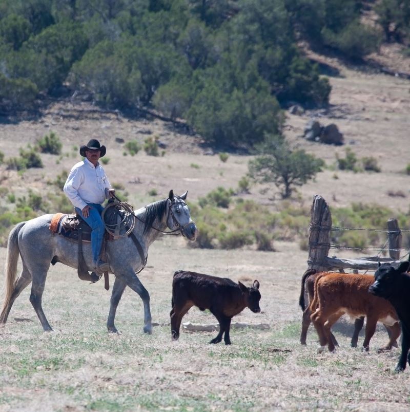 Agrotourism in Los Cabos with Vaquero riding a horse.