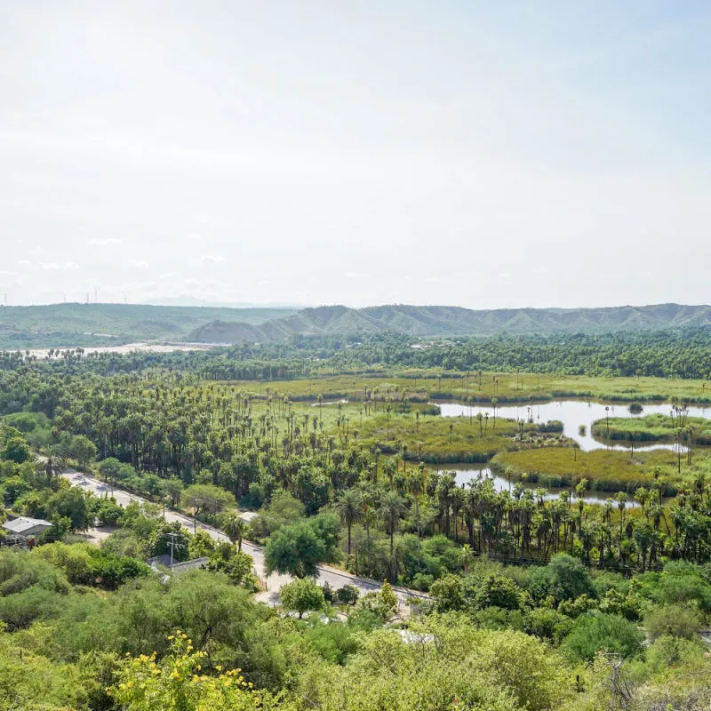 Why Tourists Are Flocking To This Natural Reserve Near Los Cabos