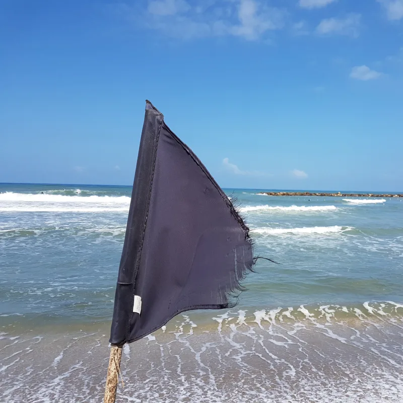 black flag on beach