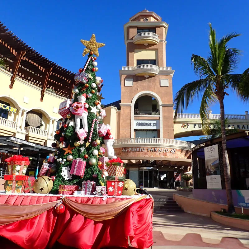 Holiday decorations in Los Cabos