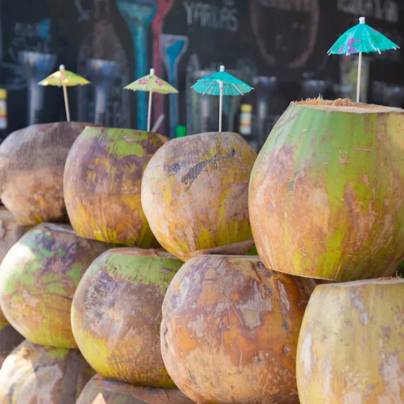 coconut drinks in cabo