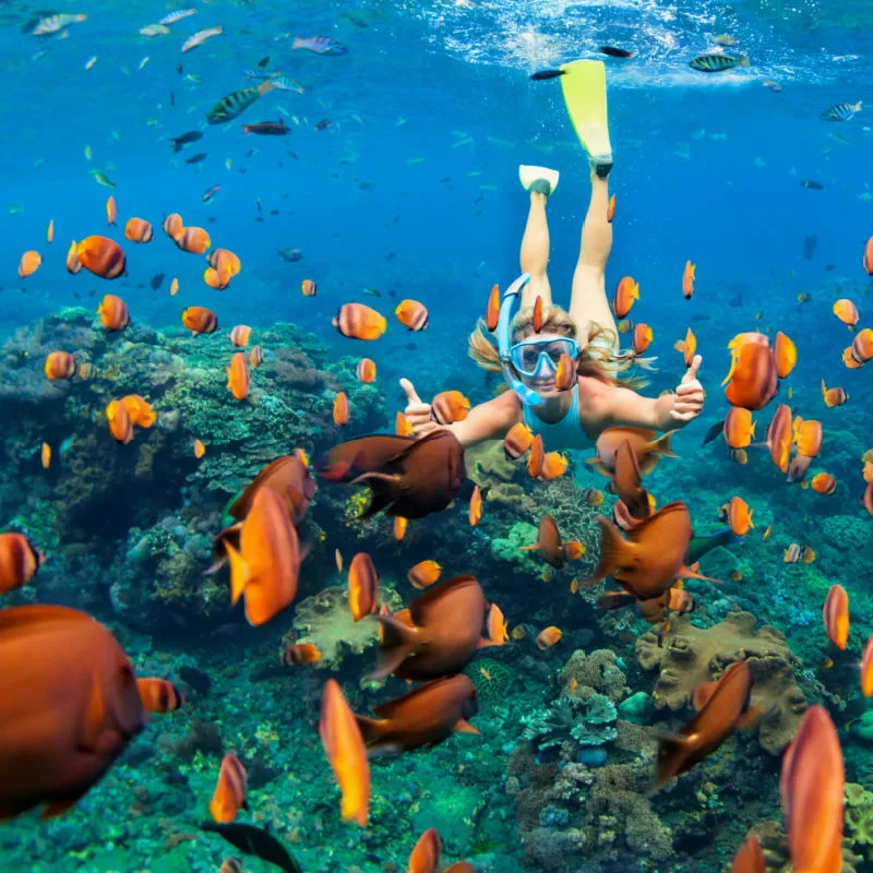 girl snorkeling with fish