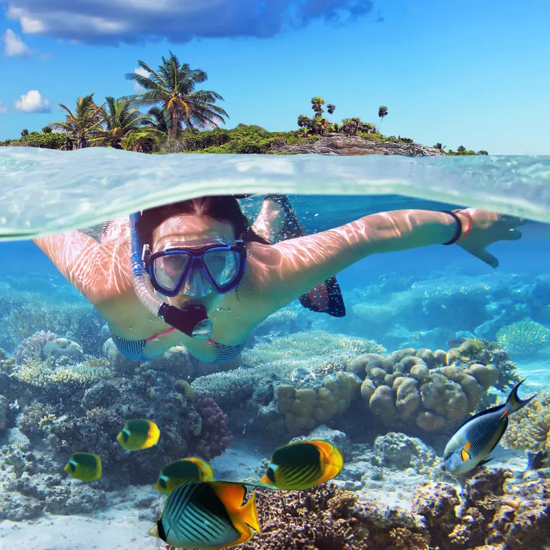 girl swimming with fish